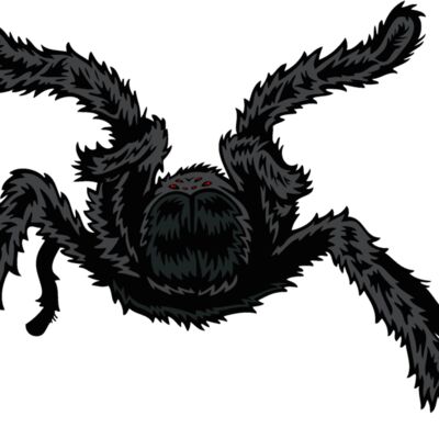 esspider005clr Thumbnail