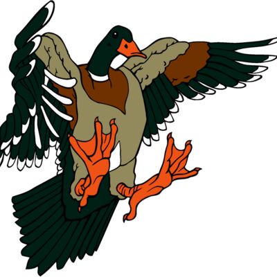 duckmallard Thumbnail