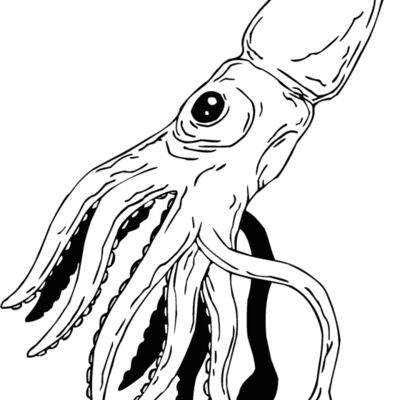 squid Thumbnail