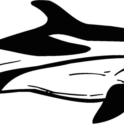 stripeddolphin  Thumbnail