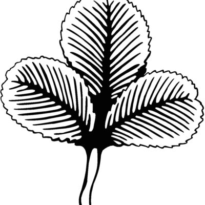 3leafclover Thumbnail