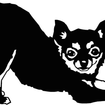 chihuahua3 Thumbnail