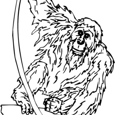 orangutan2 Thumbnail