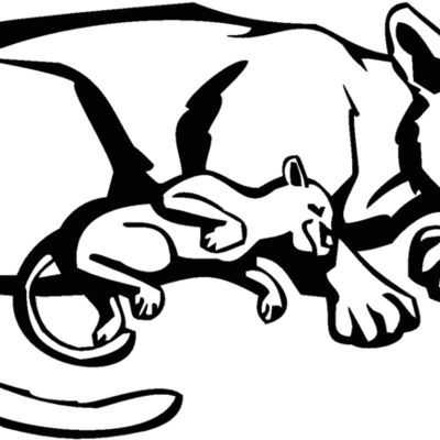 sleepingcougar Thumbnail