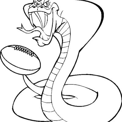 cobrargbybns Thumbnail