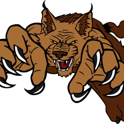 wildcatbc7 Thumbnail