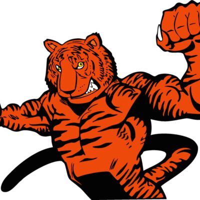 tigermsct01 Thumbnail