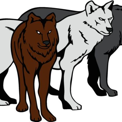 wolvesp023 Thumbnail