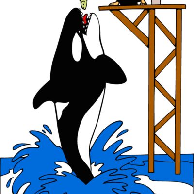 killerwhale05 Thumbnail