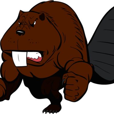 beaver7 Thumbnail