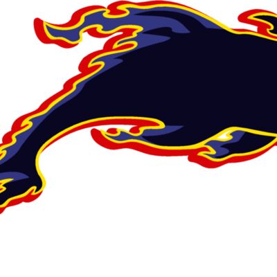 flamingdolphin01 Thumbnail