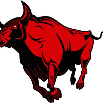 bull04v4clr Thumbnail