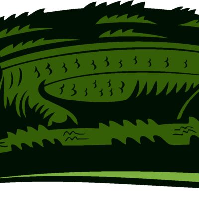 gator03v4clr Thumbnail