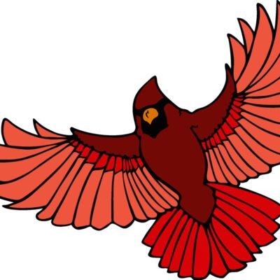 cardinal3 Thumbnail