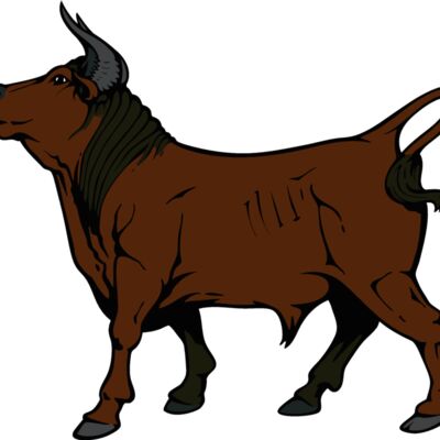 bull10v4clr Thumbnail