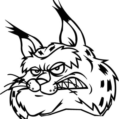 bobcathead07 Thumbnail