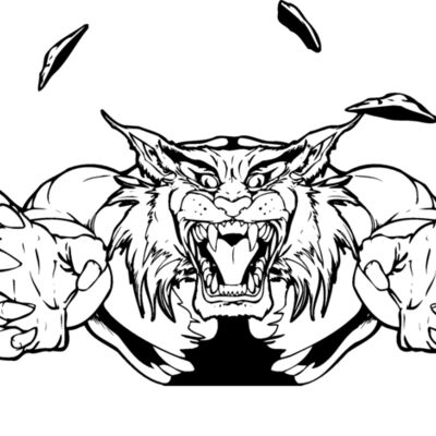 bobcat wildcat busting out Thumbnail