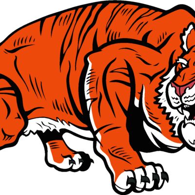 tiger18v4clr Thumbnail